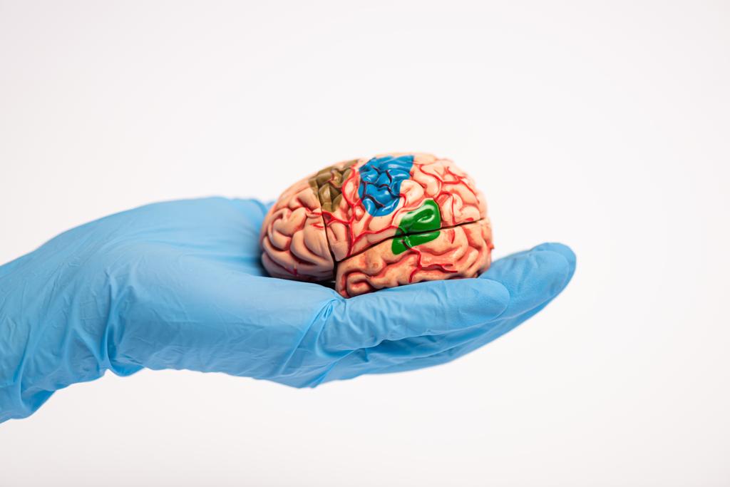 10 bits par seconde : la vitesse dérisoire de notre cerveau face à l’accélération de l’intelligence artificielle ! 