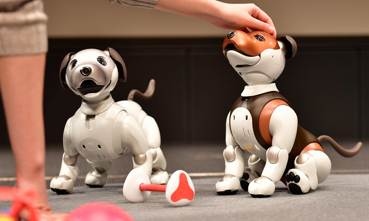     Robots compagnons : la technologie au service du bien-être des personnes âgées