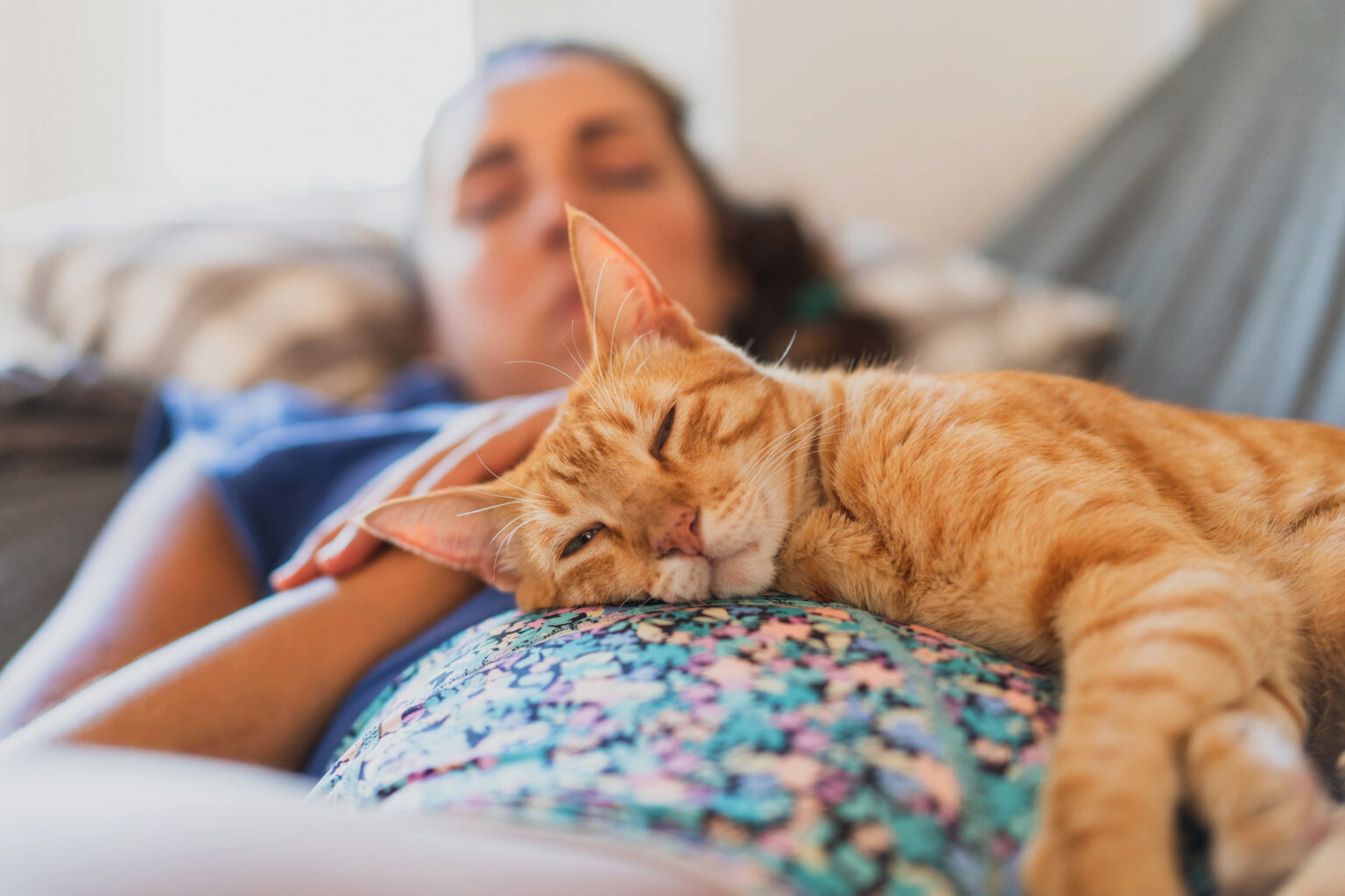 6 façons scientifiques de renforcer votre relation avec votre chat